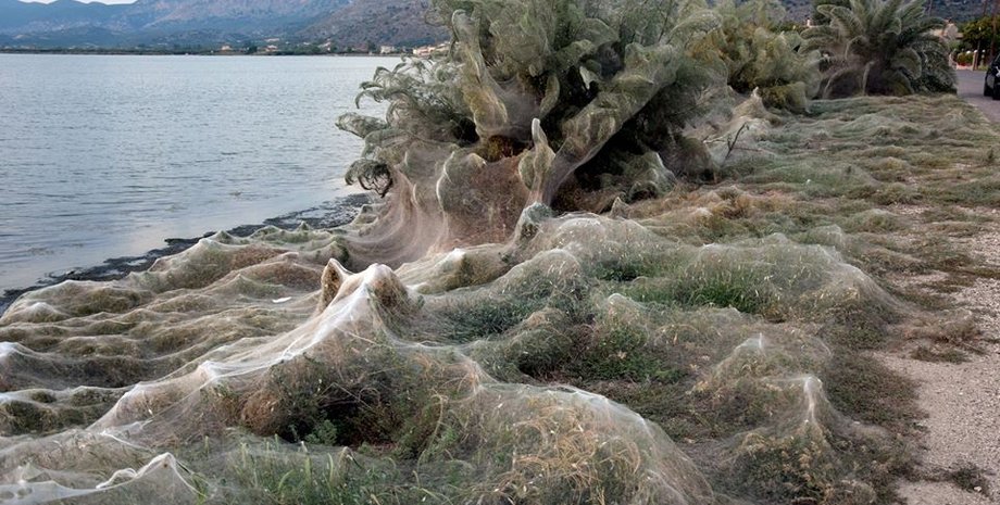 Фото:agrinionews.gr