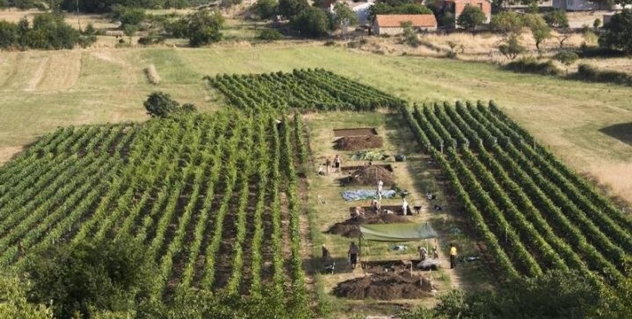 Покровник, фото с места раскопок. Andrew M.T. Moore