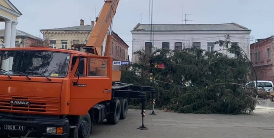 Дубно, кладбище, елка