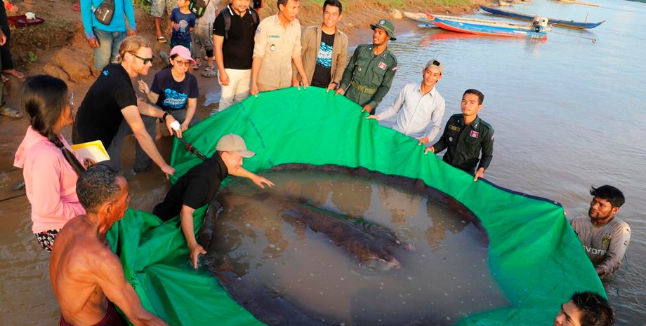 скат, люди, река, фото