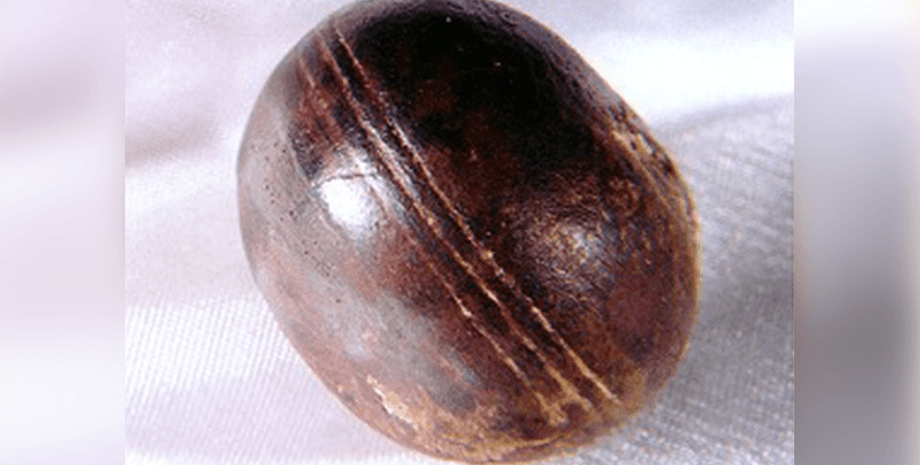 Сфери Клерксдорпа, інопланетяни, позаземне життя, теорія змов, дослідження, геолог, геологія, знахідка, наука, науковсі, псевдонауковці, таємниця виникнення, таємниця, загадка, південна африка