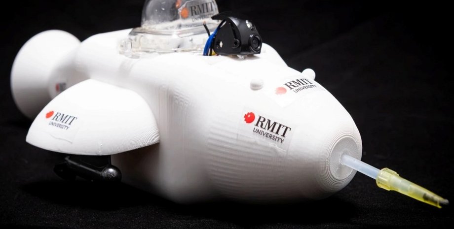 робот-дельфин