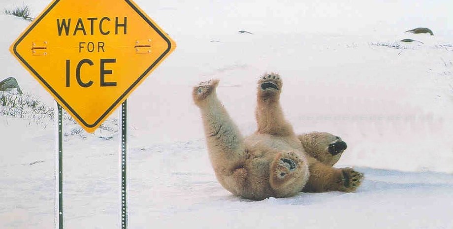 Фото: phdlife.warwick.ac.uk