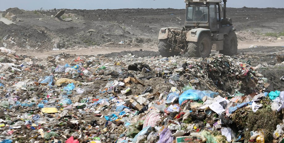 новини рівного, рівненський зоопарк, лев, левиця, труп, завод