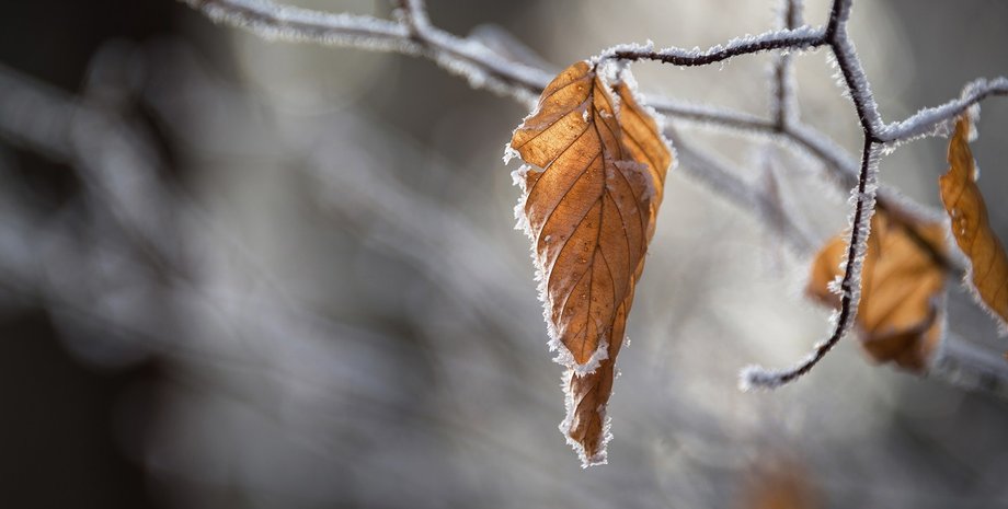 погода в Україні Погода на завтра — прогноз погоди від Діденка