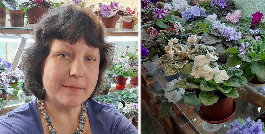 Цветочница из Житомира в двухкомнатном доме собрала более 400 сортов фиалок