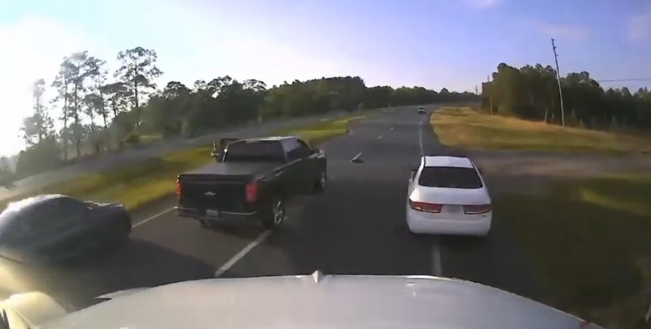 ДТП, США, Черепаха, Авто, Автомобілі, Інцидент, Вантажівка, Поліція, Тварини