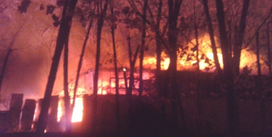 Фото: Мила Князьская-Ханова