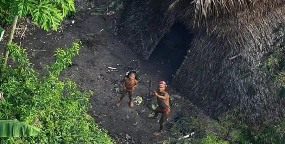 Дикие племена Амазонки, жители джунглей, дикие племена, убили человека, живут в джунглях, Амазонка, лес, каменный век,