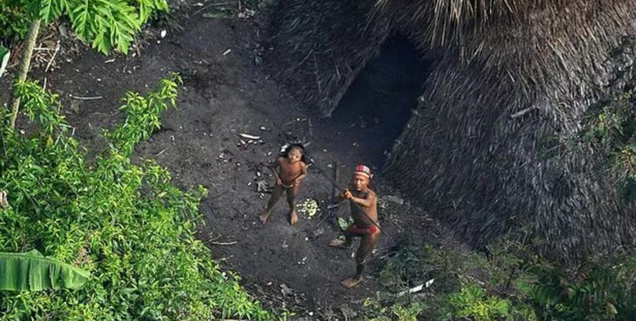 Дикие племена Амазонки, жители джунглей, дикие племена, убили человека, живут в джунглях, Амазонка, лес, каменный век,