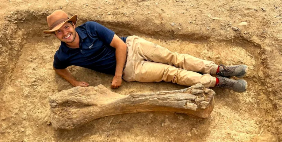 історія, палеонтолог, кістка, знахідка, розкопки, Кенія, слон, вимерлий вид, древні тварини, гігантський слон, плечова кістка, поширення видів, Африка, Близький Схід