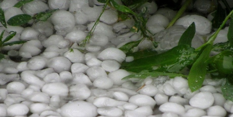 Град в Закарпатье / Фото: goloskarpat.info