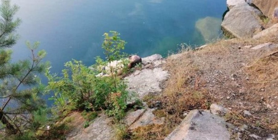 Фото: kv.npu.gov.ua