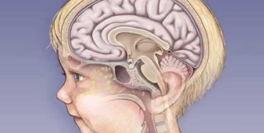 Иллюстрация: golovamozg.ru