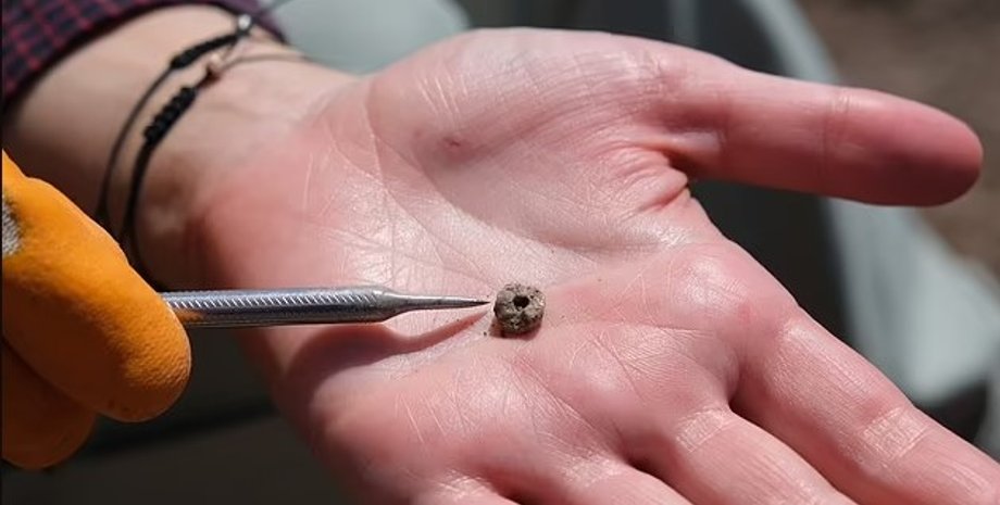 пирсинг, пирсинг украшения, украшения пирсинг