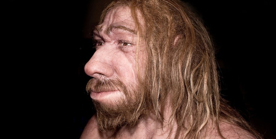 Реконструкция неандертальца из Манчестерского музея / Фото: avantyra.com