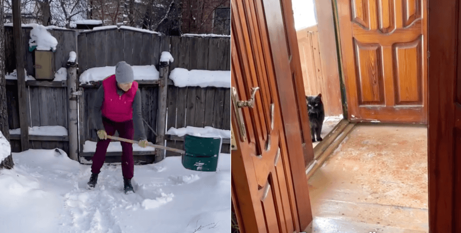 Украинцы купили дом с сюрпризом Украинцы купили дом с котом