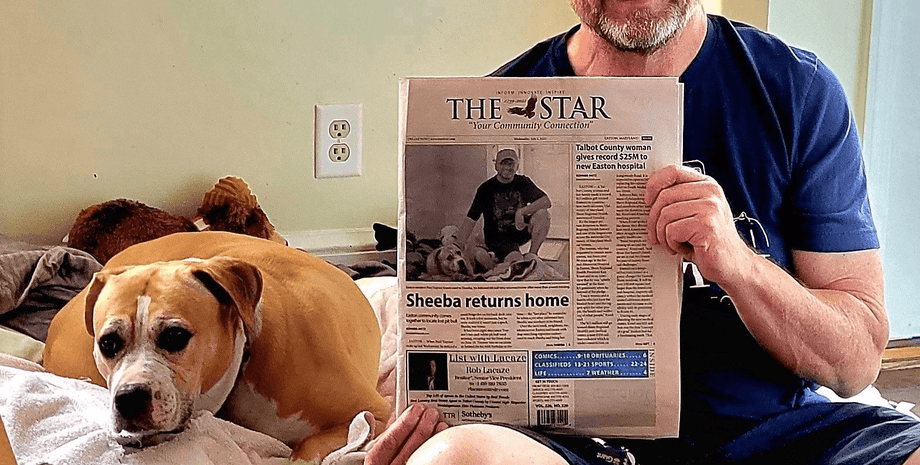 Собака зник з дому на 8 днів: камера зафіксувала момент його повернення