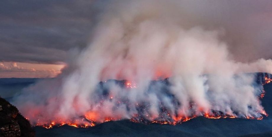 Лесные пожары в Австралии