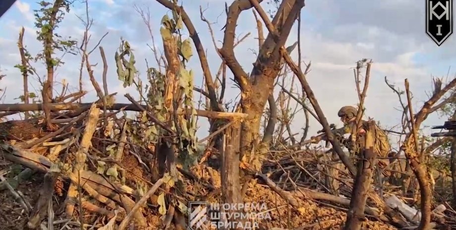 ЗСУ, стрілецький бій, військові ЗСУ