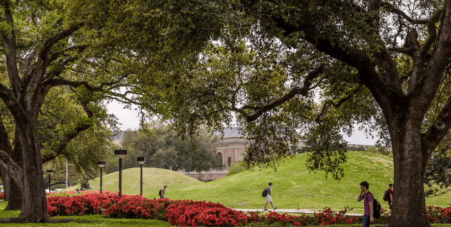 курганы, холмы, цветы, люди, фото