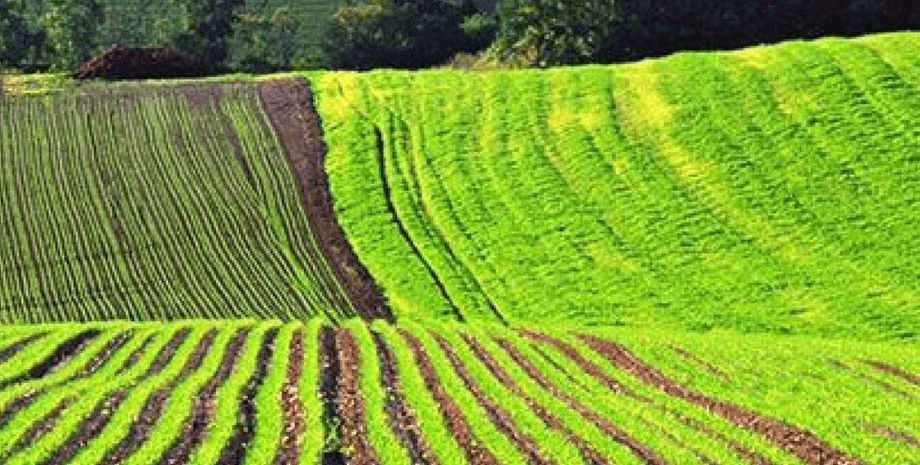 поле, пашня