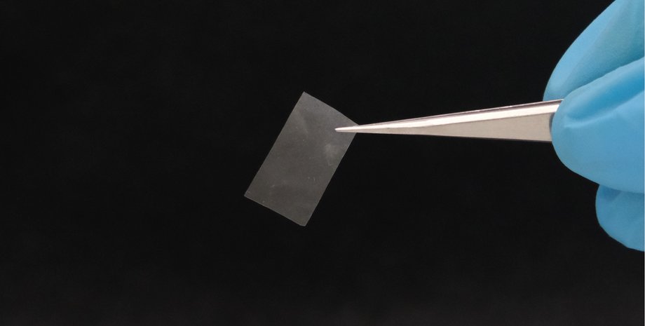 Міцеліальна плівка може замінити пластик