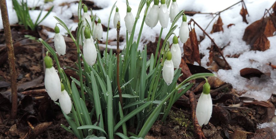 погода на неделю, по-весеннему тепло, сухо и комфортно