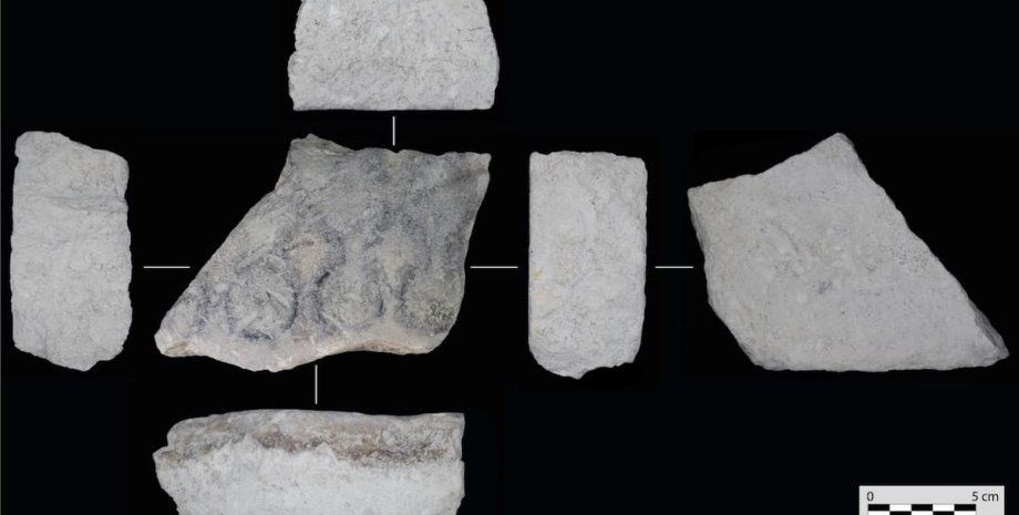 находка монеты, схема, артефакт, раскопки, археология, форма