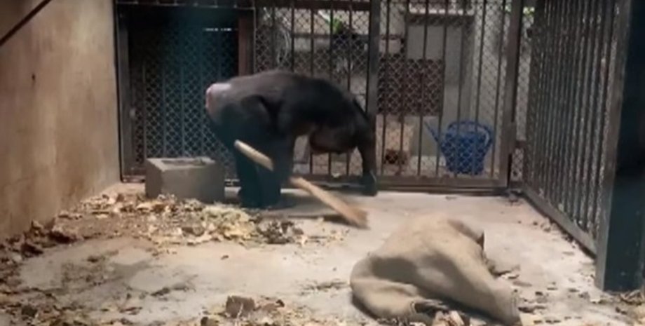 Фото: Скриншот