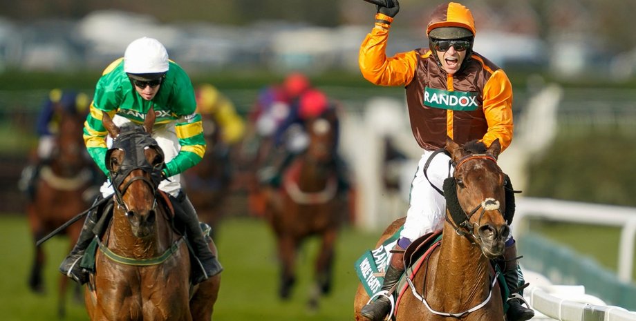 лошади, накездники, скачки