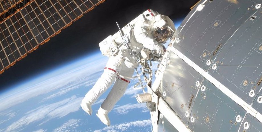 Фото: twitter.com/AstroKomrade