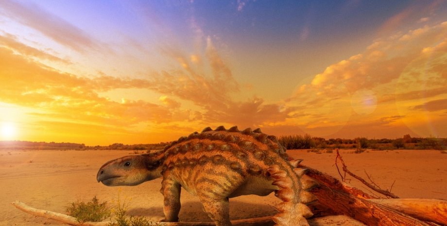 броньований динозавр, природа, сонце, пустеля, знімок