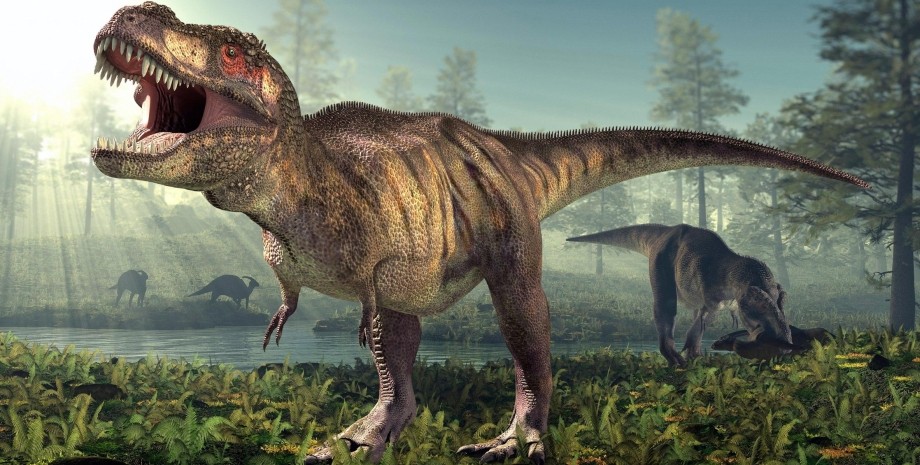 тираннозавр, динозавр, питание тираннозавра