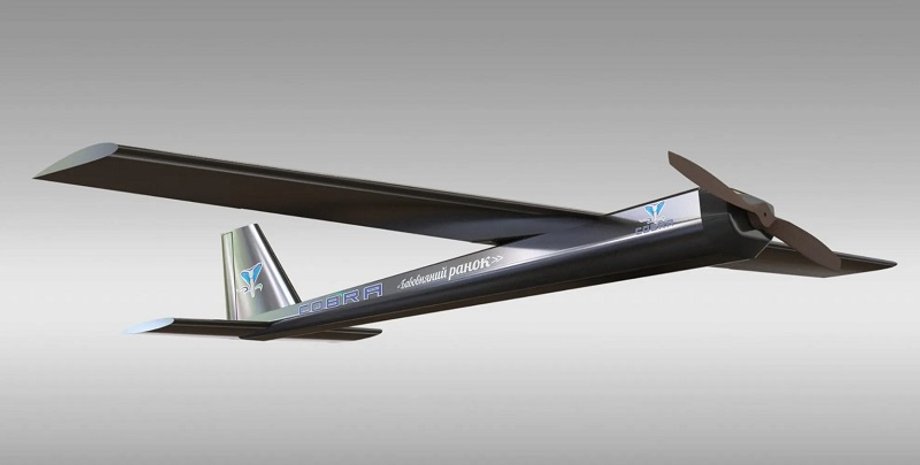 Минцифры, Михаил Федоров, БПЛА, война в Украине, атаки БПЛА