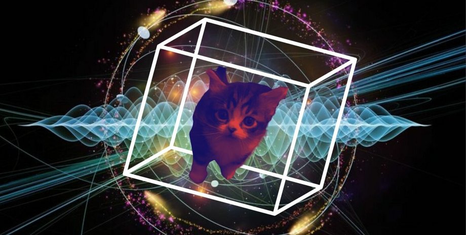 Кот Шредингера, кубиты, кошачьи кубиты, Квантовый компьютер