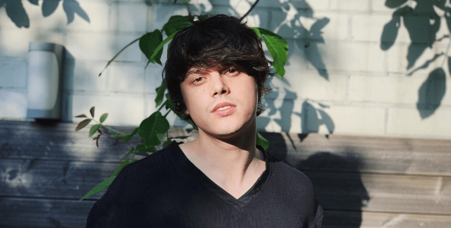 ALEKSEEV, стіна, гілки дерева