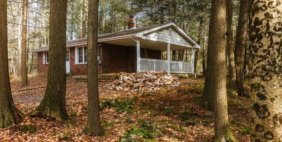 Сказочный дом в лесу, супруги показали свою 100-летнюю хижину на природе, покупка недвижимости, грызуны и насекомые