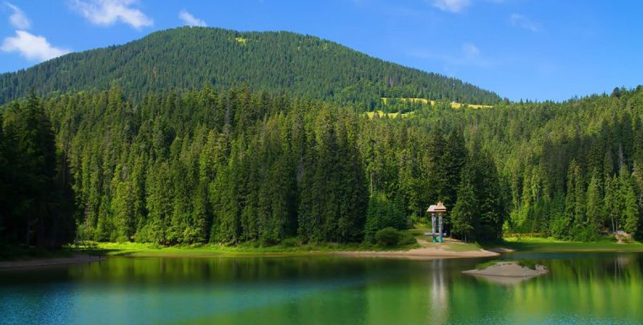 Озеро Синевир / Фото из открытых источников