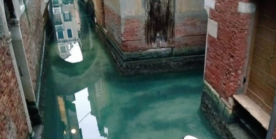 Фото: Clean Venice/Twitter