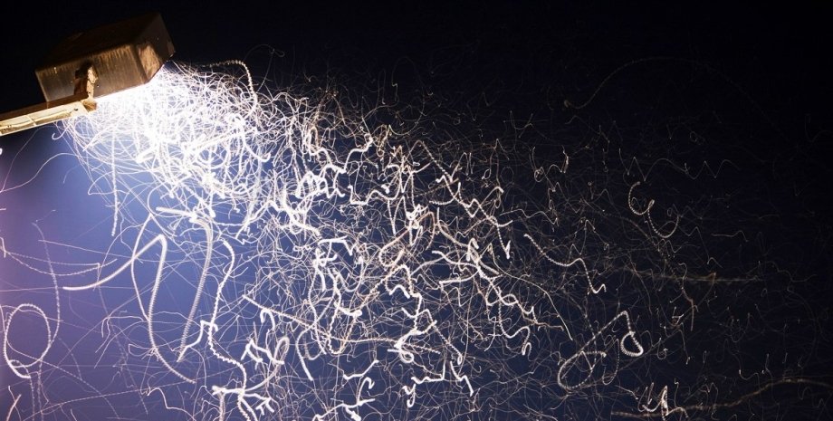 Комахи не летять прямо на світло, а рухаються шаленою траєкторією комахи, світло