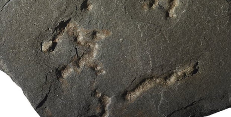 A El Albani/IC2MP/CNRS/Earth Science