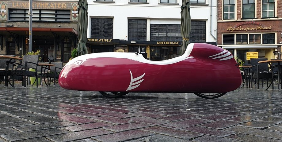 Velomobiel.nl, веломобиль, Snoek