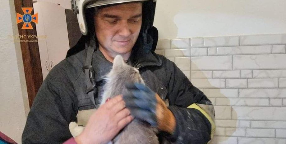 Рятувальники ДСНС витягли кота з вентиляційної шахти (фото)