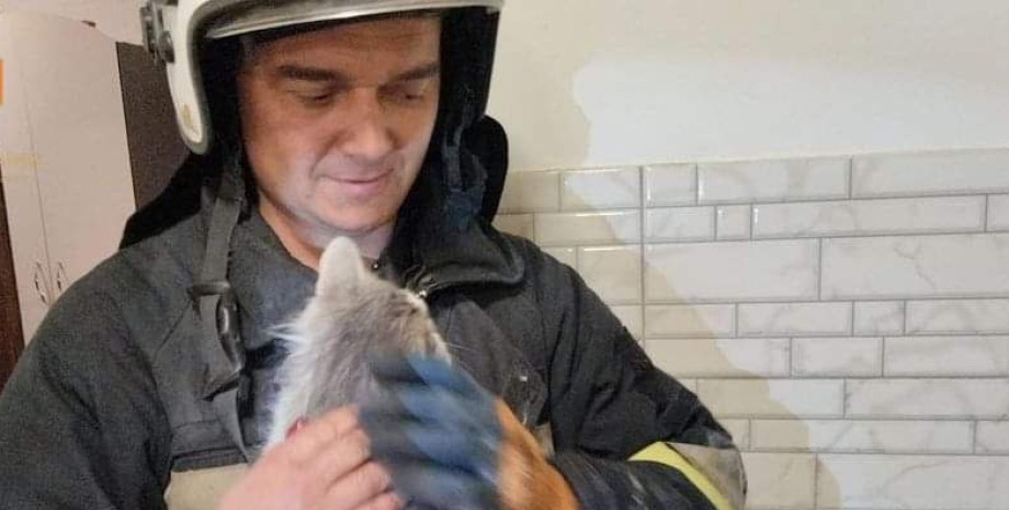 Спасатели ГСЧС вытащили кота из вентиляционной шахты (фото)