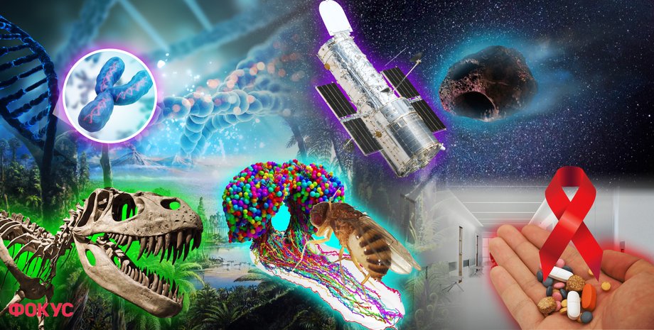 важные научные открытия 2023, главные научные открытия 2023, итоги года 2023, научные открытия, что изобрели в 2023 году, изобретения 2023, открытия 2023