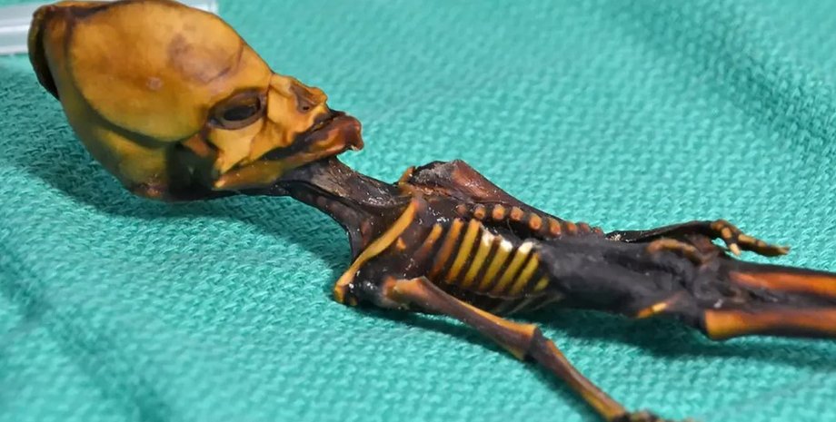 гуманоид Атакамы, мумия, скелет, инопланетянин