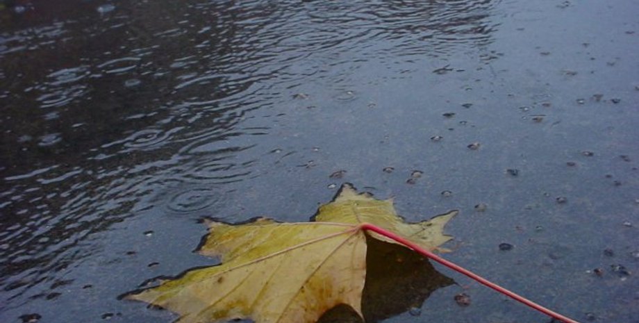 Фото: rambler.ru