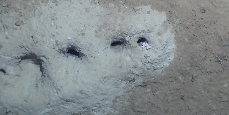 берингове море, берингове море дірки