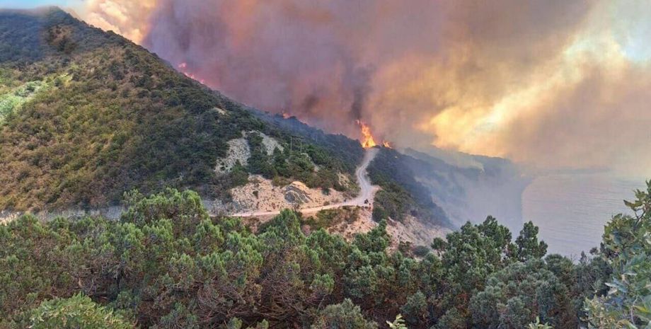 пожар Краснодарский край, пожар Россия